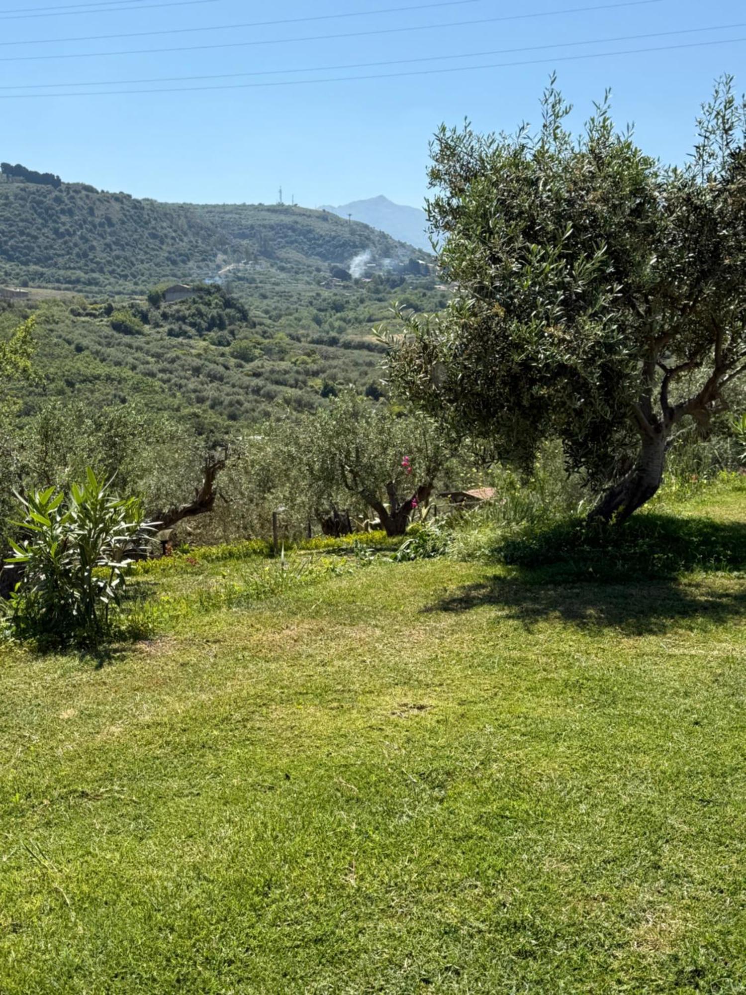 فندق Agrolea تيرمي فيلياتوري المظهر الخارجي الصورة